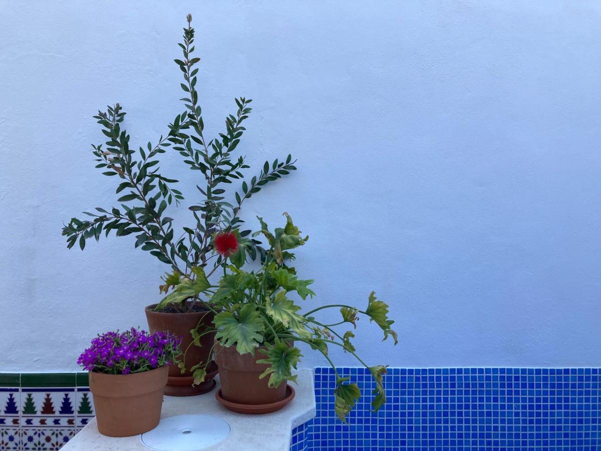 Casa Clemente 32, Private House With Plunge Pool Apartment มาลากา ภายนอก รูปภาพ
