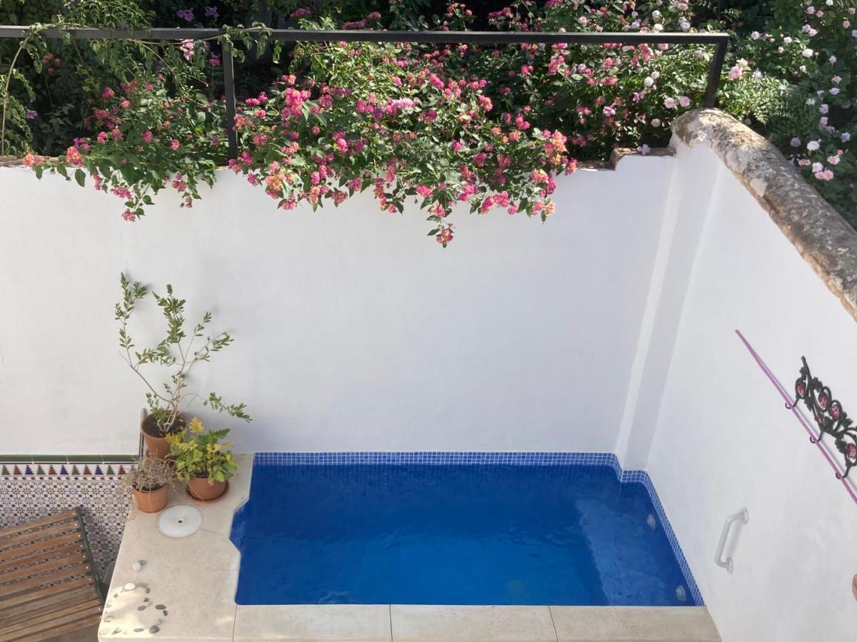 Casa Clemente 32, Private House With Plunge Pool Apartment มาลากา ภายนอก รูปภาพ