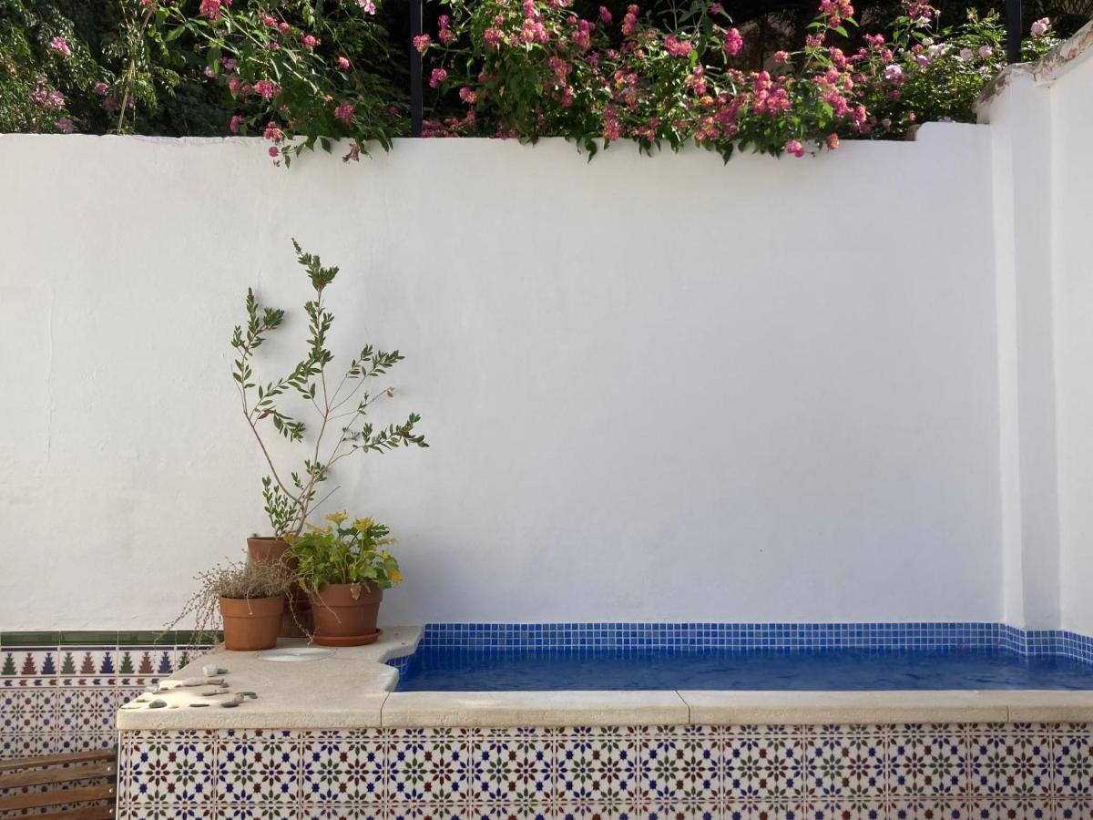 Casa Clemente 32, Private House With Plunge Pool Apartment มาลากา ภายนอก รูปภาพ